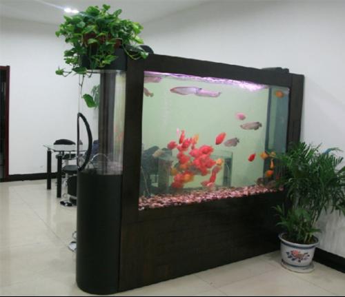 客厅如何借助鱼缸催旺财位